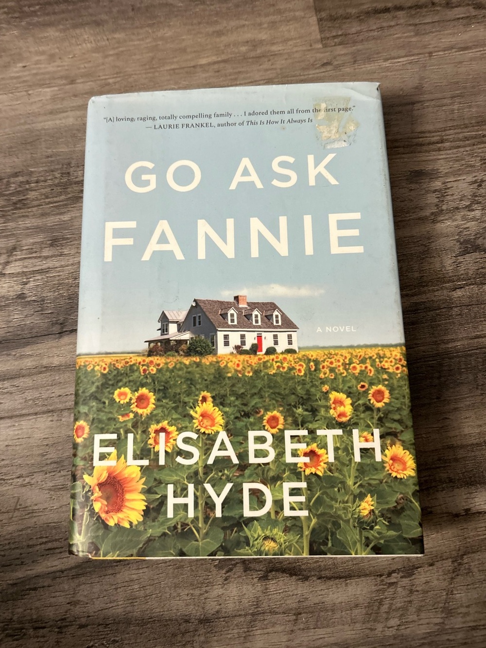 ‘Go Ask Fannie’ Elisabeth Hyde Fiction Book/Novel